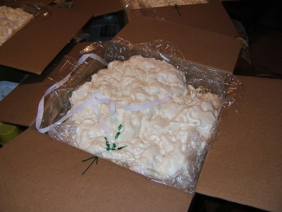 top of foam packing for a mosaic shipped from Glencliff Art Studio in Austin, TX