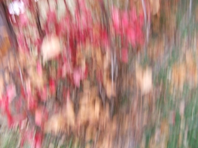 blur photo of red and gold spangles